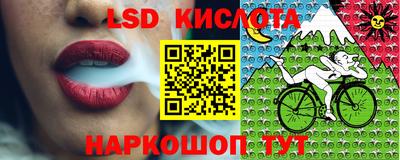 mdma Шебекино