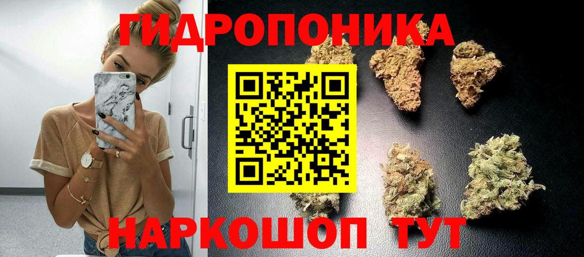 Сертолово  Канабис ГИДРОПОН  Вход с VPN  Канабис Bruce Banner 